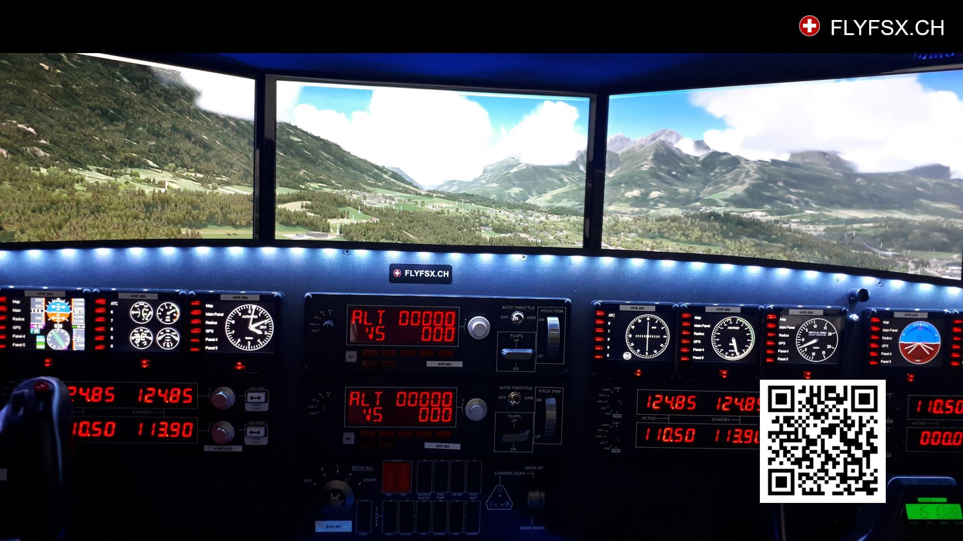 FLYFSX - Flugsimulator - Flight Simulator -  Rüchligweg 55 - 4125 Riehen - Basel - Baden - Aarau - Zürich - Schweiz - Lörrach - Freiburg - Deutschland. 